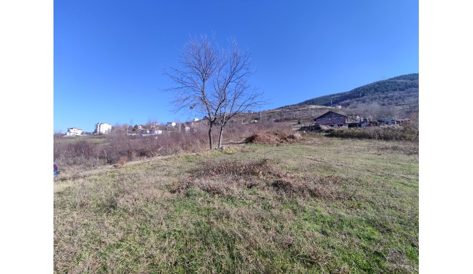 Eskidjiden Başiskelenin Gözdesi Bahçecikte 4664 M2 İmarlı Net Konut-villa Arsası - İlan No: 67452, Satılık,Başiskele  Satılık ev,Başiskele  Satılık daire,Başiskele Satılık ofis,Başiskele  Satılık stüdyo,Başiskele  Satılık