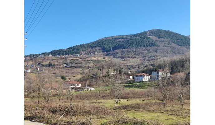 Eskidjiden Başiskelenin Gözdesi Bahçecikte 4664 M2 İmarlı Net Konut-villa Arsası - İlan No: 67452, Satılık,Başiskele  Satılık ev,Başiskele  Satılık daire,Başiskele Satılık ofis,Başiskele  Satılık stüdyo,Başiskele  Satılık