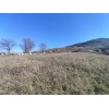 Eskidjiden Başiskelenin Gözdesi Bahçecikte 4664 M2 İmarlı Net Konut-villa Arsası - İlan No: 67452, Satılık,Başiskele  Satılık ev,Başiskele  Satılık daire,Başiskele Satılık ofis,Başiskele  Satılık stüdyo,Başiskele  Satılık